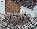 Capi_Dubne_20260724_102003.jpg