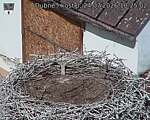 Capi_Dubne_20260724_102502.jpg