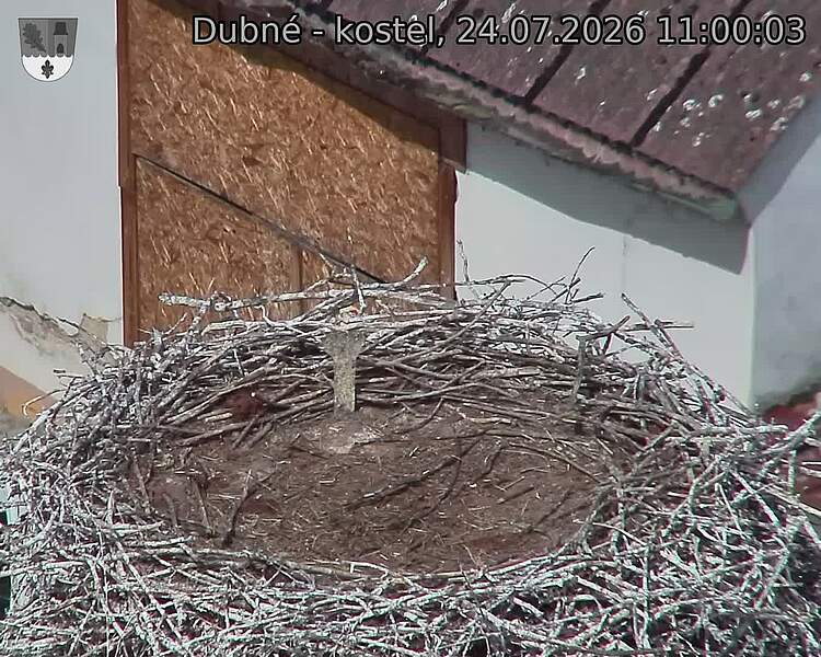 preload