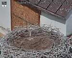 Capi_Dubne_20260724_111003.jpg