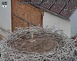 Capi_Dubne_20260724_111502.jpg