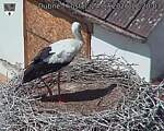 Capi_Dubne_20260724_122003.jpg