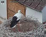 Capi_Dubne_20260724_131003.jpg