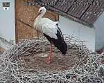 Capi_Dubne_20260724_135002.jpg