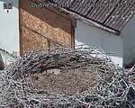 Capi_Dubne_20260724_141502.jpg