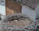 Capi_Dubne_20260724_150503.jpg