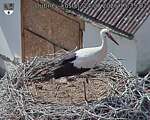Capi_Dubne_20260724_153502.jpg