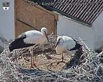 Capi_Dubne_20260724_165002.jpg