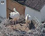 Capi_Dubne_20260724_165503.jpg