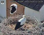Capi_Dubne_20260724_173504.jpg