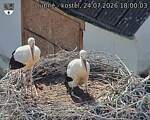 Capi_Dubne_20260724_180003.jpg