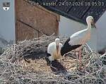 Capi_Dubne_20260724_180503.jpg