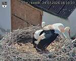 Capi_Dubne_20260724_181003.jpg