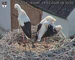 Capi_Dubne_20260724_183002.jpg