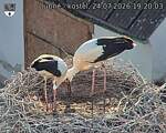 Capi_Dubne_20260724_192003.jpg