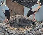 Capi_Dubne_20260724_193002.jpg