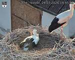Capi_Dubne_20260724_194503.jpg