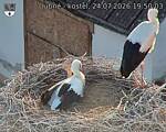 Capi_Dubne_20260724_195003.jpg