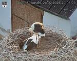Capi_Dubne_20260724_200503.jpg
