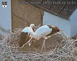 Capi_Dubne_20260724_203003.jpg