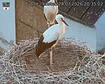 Capi_Dubne_20260724_203502.jpg
