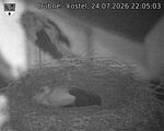 Capi_Dubne_20260724_220503.jpg