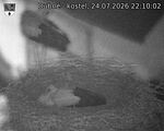 Capi_Dubne_20260724_221002.jpg