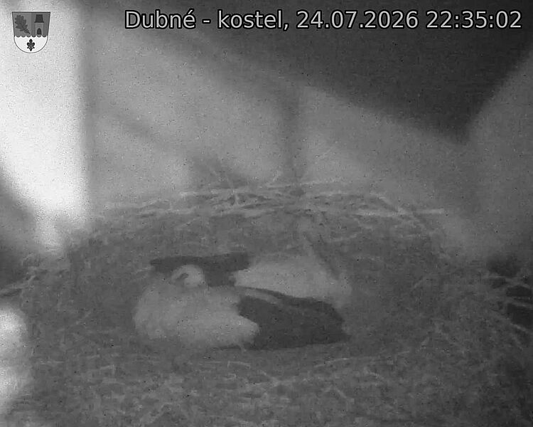 preload