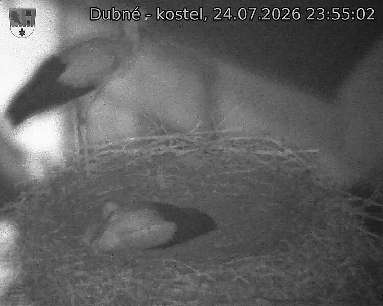 preload