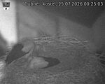 Capi_Dubne_20260725_002503.jpg