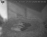 Capi_Dubne_20260725_005502.jpg