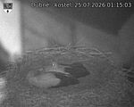 Capi_Dubne_20260725_011503.jpg