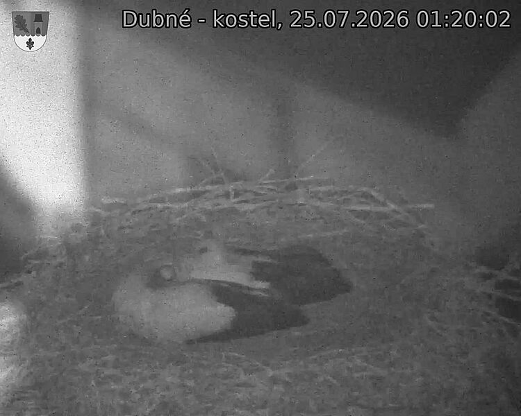 Capi_Dubne_20260725_012002.jpg (1350&nbsp;x&nbsp;1080)