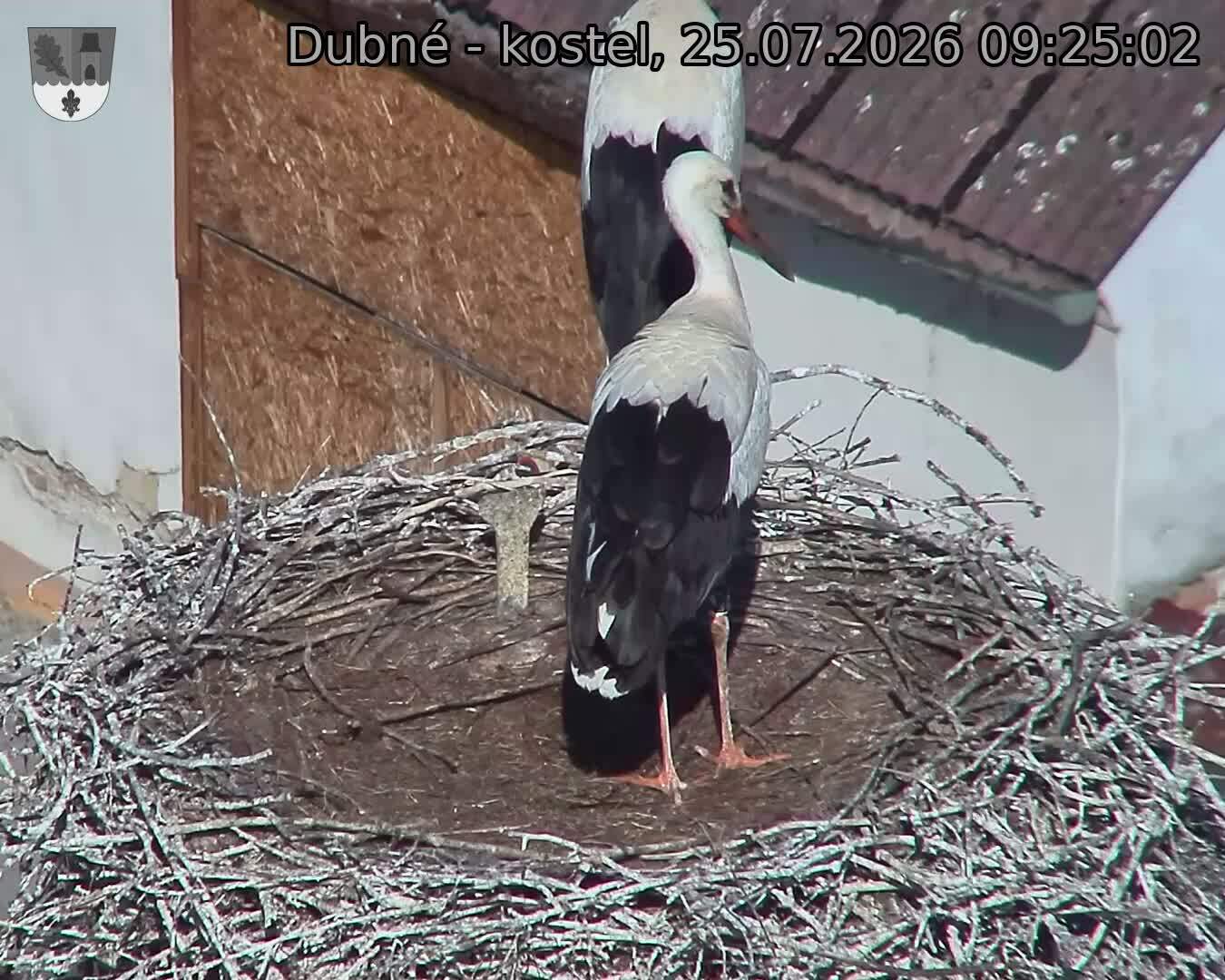 preload