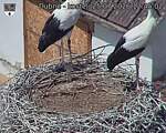 Capi_Dubne_20260725_124502.jpg