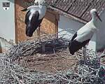 Capi_Dubne_20260725_135502.jpg