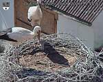 Capi_Dubne_20260725_155502.jpg