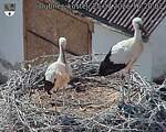 Capi_Dubne_20260725_162002.jpg