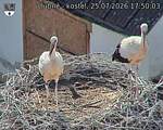 Capi_Dubne_20260725_175003.jpg