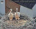 Capi_Dubne_20260725_180503.jpg