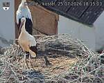Capi_Dubne_20260725_181503.jpg