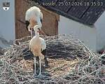 Capi_Dubne_20260725_183503.jpg