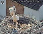 Capi_Dubne_20260725_184003.jpg