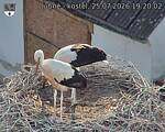 Capi_Dubne_20260725_192002.jpg