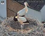 Capi_Dubne_20260725_193503.jpg