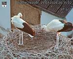 Capi_Dubne_20260725_203502.jpg