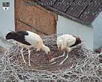 Capi_Dubne_20260725_204503.jpg