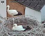 Capi_Dubne_20260725_210003.jpg