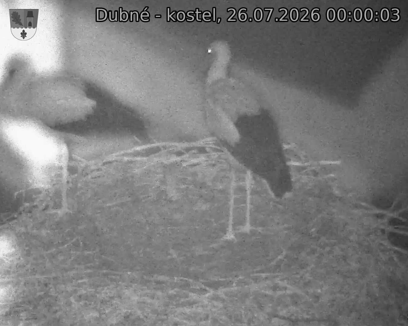 Capi_Dubne_20260726_000003.jpg (1350&nbsp;x&nbsp;1080)