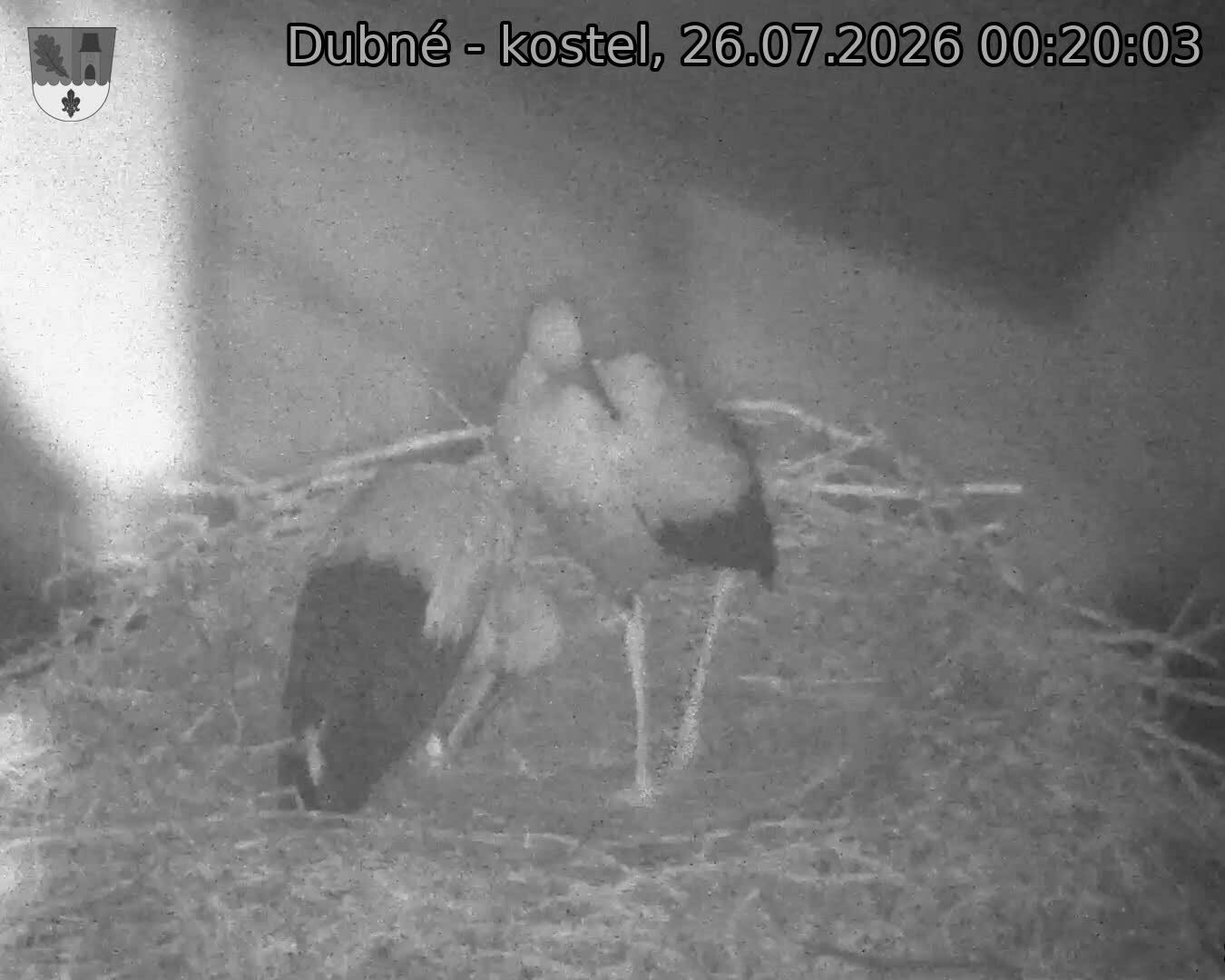 Capi_Dubne_20260726_002003.jpg (1350&nbsp;x&nbsp;1080)